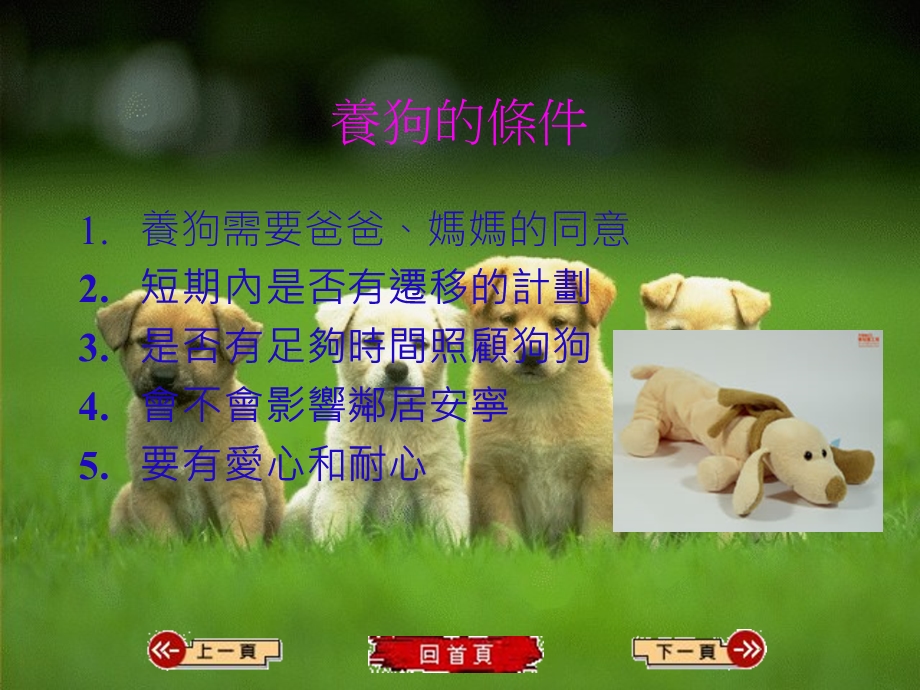 狗的饲养方法.ppt_第3页