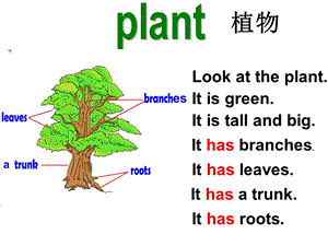 (广州版)五年级英语上册课件Module3Unit.ppt