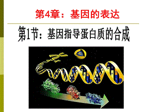 分子基础必修2第四章.ppt