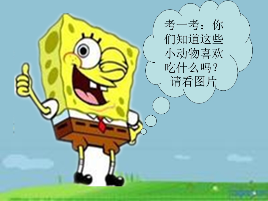 不要随便喂小动物.ppt_第2页