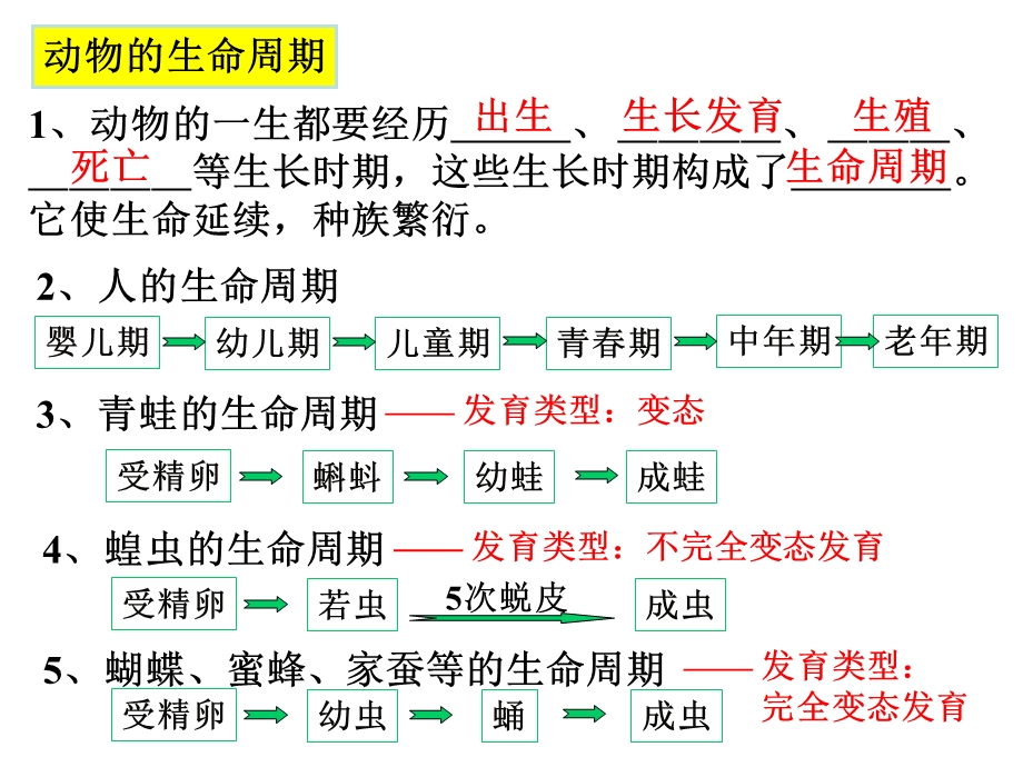 中考知识条目解析浙教版.ppt_第2页