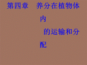 养分在植物体内.ppt