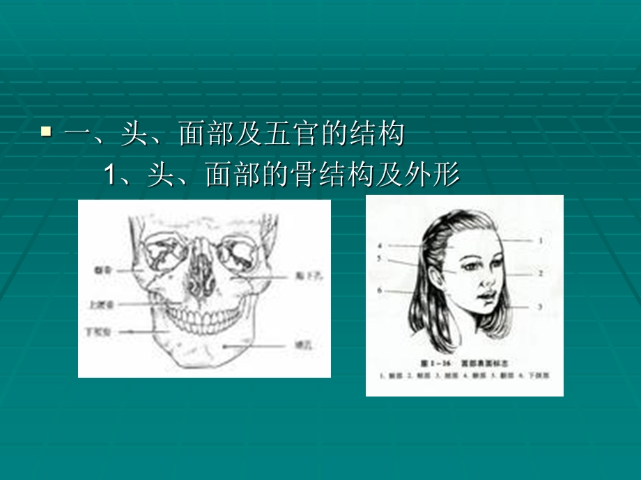 化妆基础知识大全.ppt_第2页