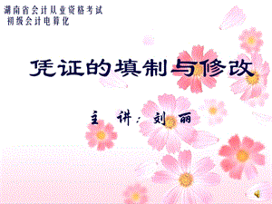 会计从业证辅导.ppt