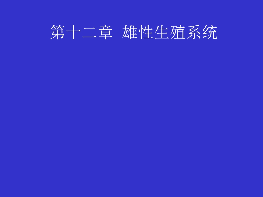 《雄性生殖系统》课件.ppt_第1页