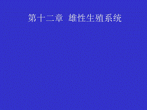 《雄性生殖系统》课件.ppt