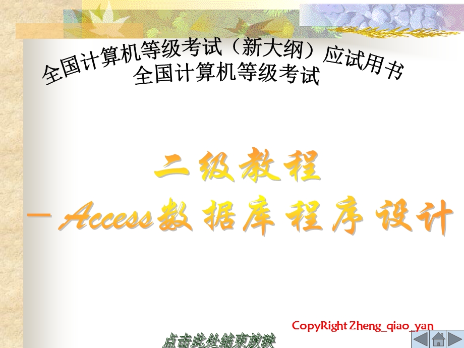 二级access复习知识点.ppt_第3页