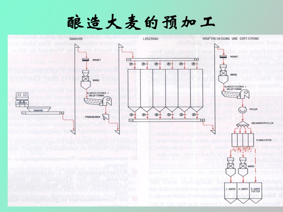 制麦酿造大麦处理.ppt_第2页