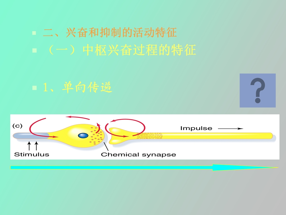 《犬的行为原理》第三章末.ppt_第3页