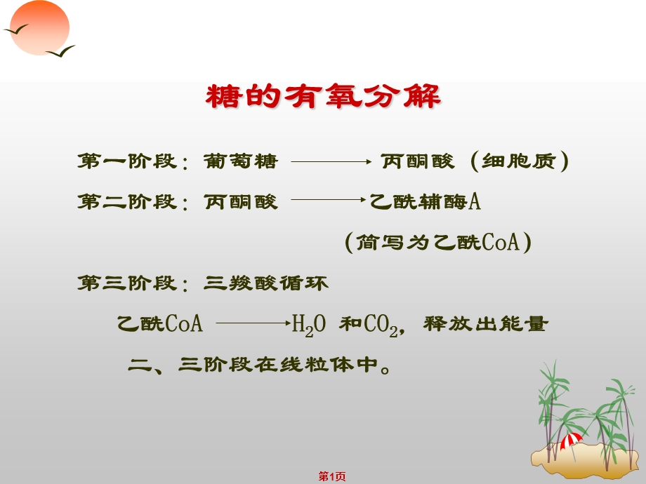 《柠檬酸循环》课件.ppt_第1页