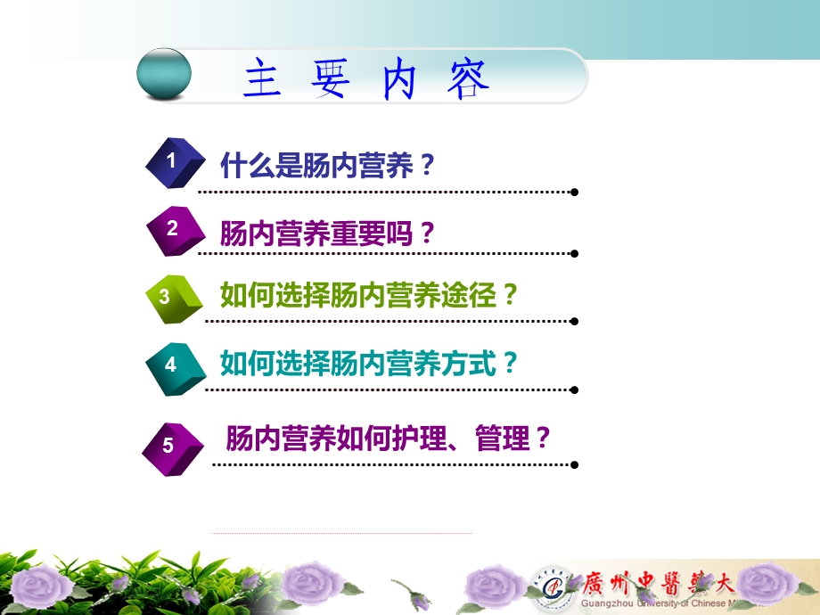 危重病人肠内营养护理.ppt_第2页