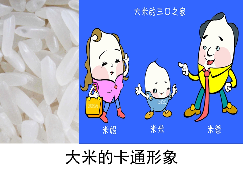 卡通故事课件.ppt_第3页