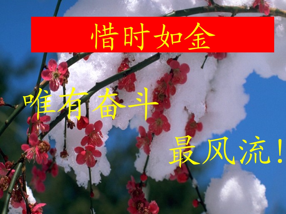 高数方法指导上.ppt_第2页