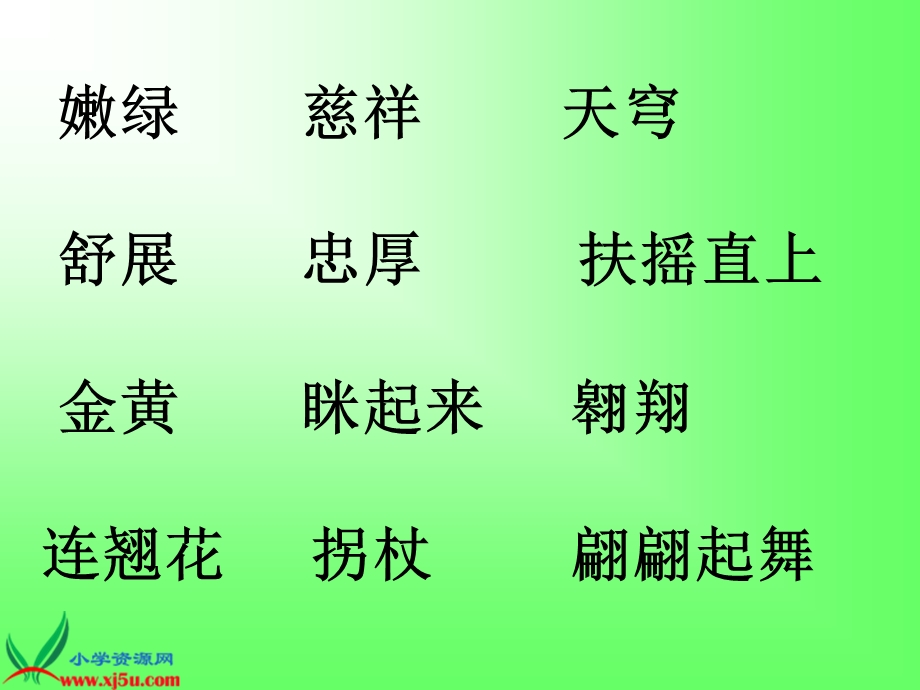 22理想的风筝.ppt_第3页