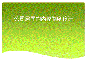 公司层面的内控.ppt