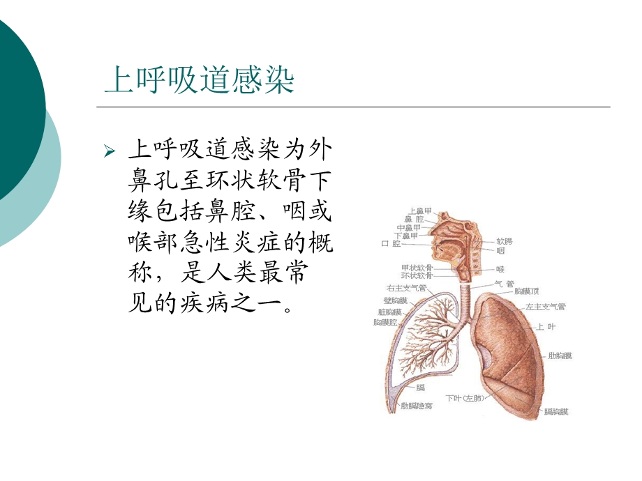 内科常见病xyyadm.ppt_第3页