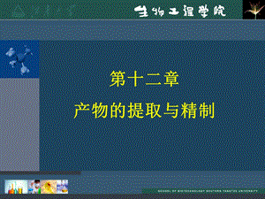 产物的提取与精制.ppt
