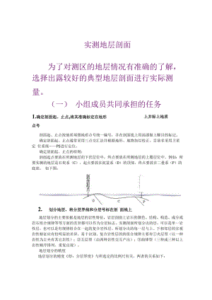 实测地质剖面方法.docx