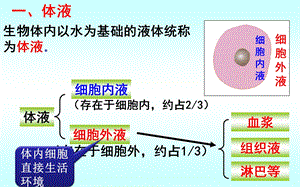 一轮必修三1.1内环境稳态及调节.ppt