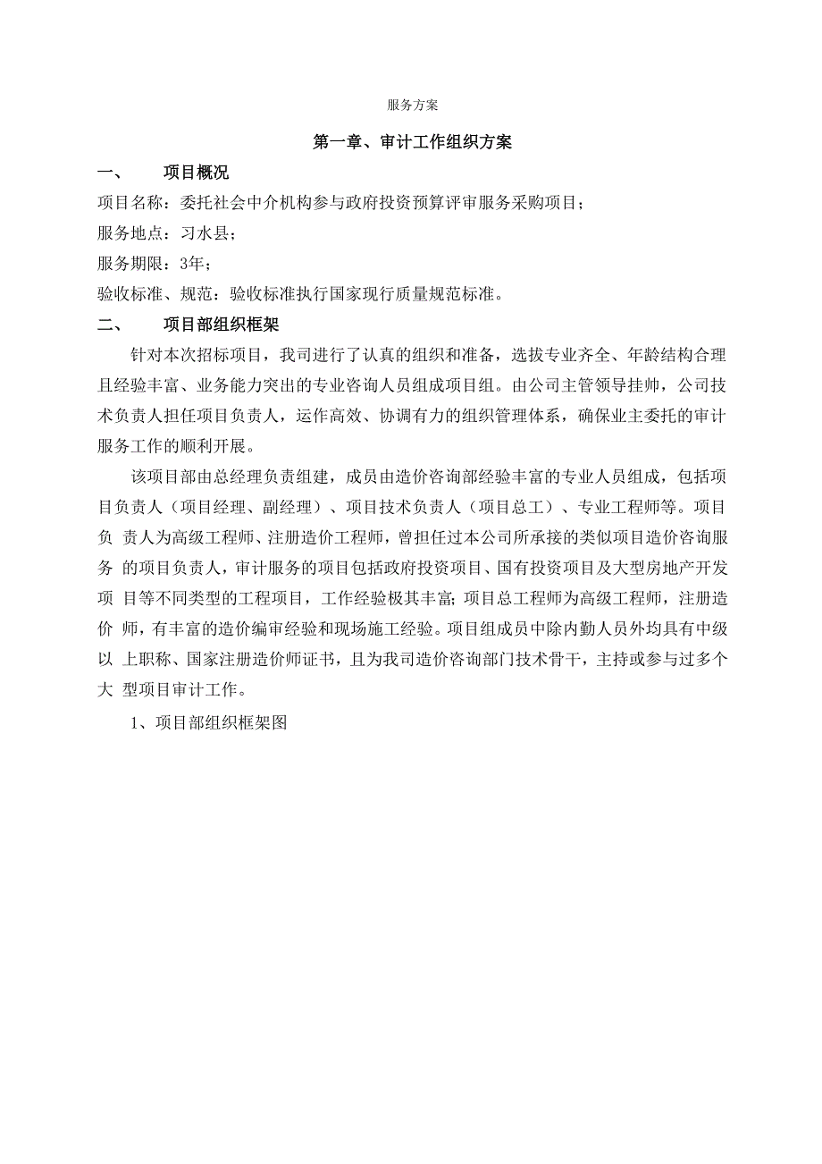 审计服务方案.docx_第1页