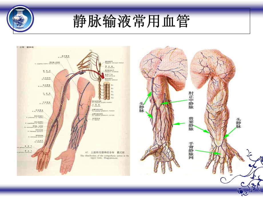 危重病人血管保护.ppt_第2页