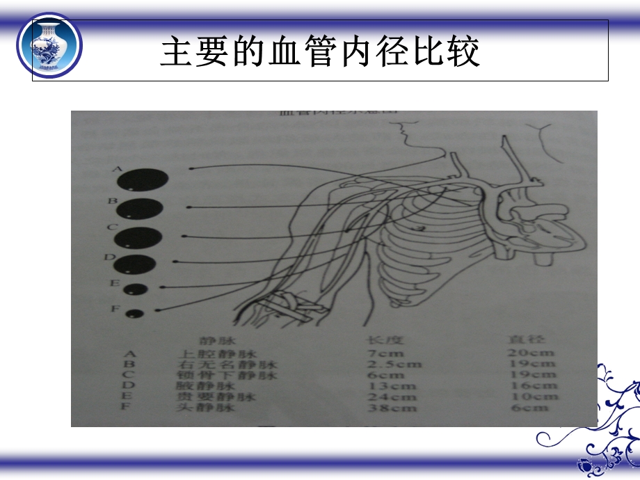 危重病人血管保护.ppt_第3页