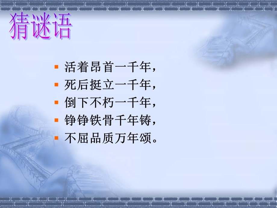 23胡杨赞.ppt_第2页