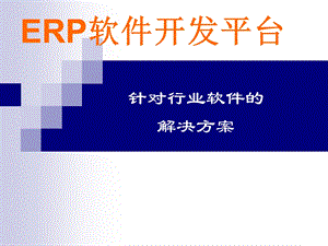 针对行业软件的解决方案.ppt