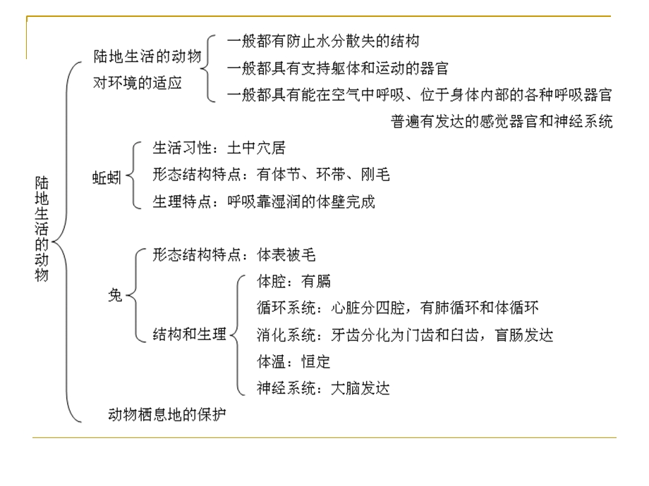 人教教八年级上册生物陆地生活的动物.ppt_第2页