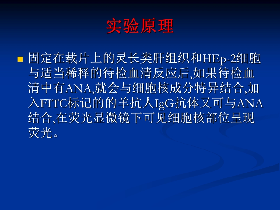 间接免疫荧光实验.ppt_第2页