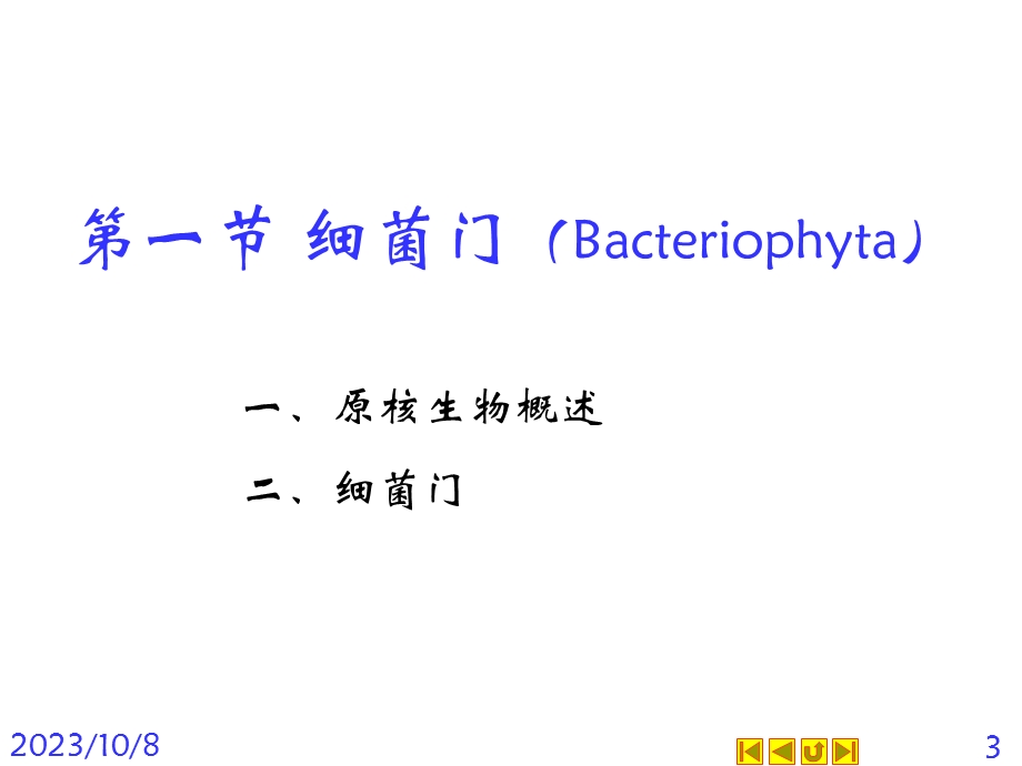 《菌类和地衣》课件.ppt_第3页