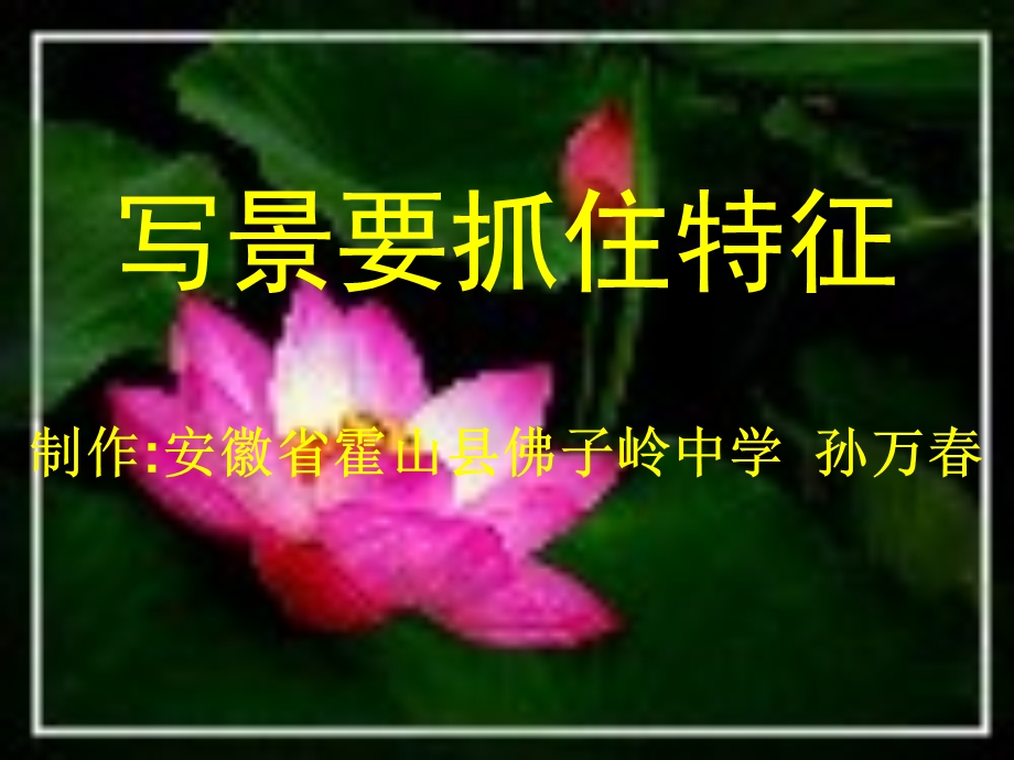 《亲近自然写景要抓住特征》.ppt_第1页