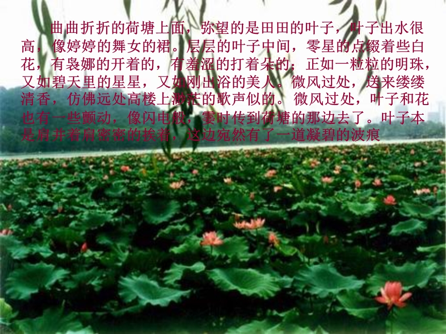 《亲近自然写景要抓住特征》.ppt_第3页