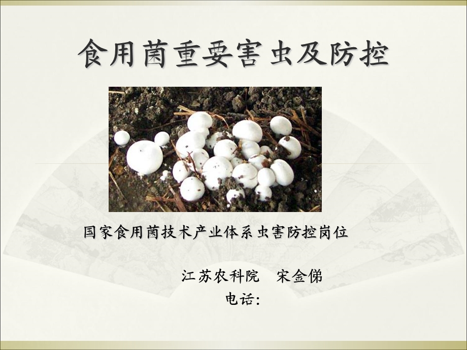 食用菌重要性害虫及防控.ppt_第1页