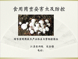 食用菌重要性害虫及防控.ppt