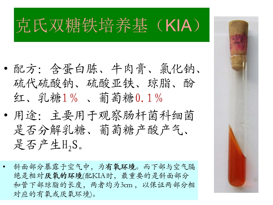 克氏双糖KIA(整理).ppt_第1页