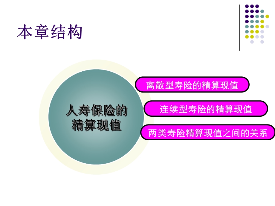 人寿保险精的算现值.ppt_第2页