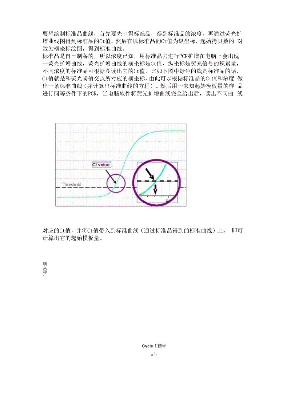 实时荧光定量PCR(RT PCR).docx_第3页