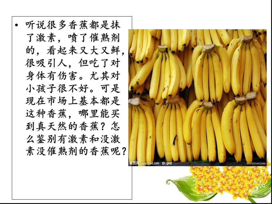 香蕉的检验与鉴别.ppt_第2页