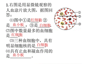 中考识图专题训练.ppt