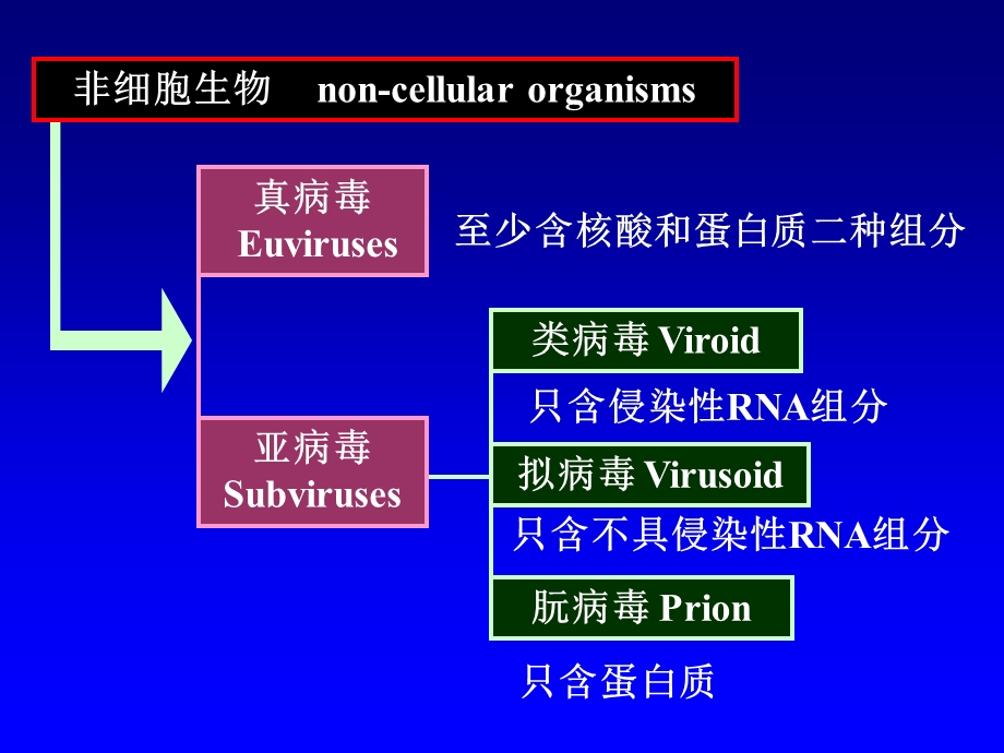 化生专业微生物-第4章-病毒.ppt_第2页