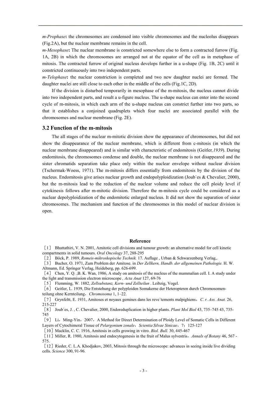 A nuclear division between mitosis and amitosis.doc_第3页