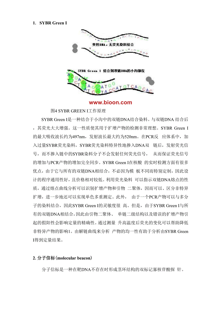 实时荧光定量 PCR技术原理与应用.docx_第3页