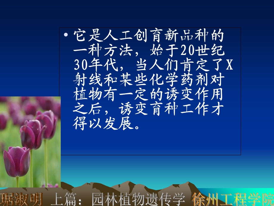 《诱变育种》课件.ppt_第2页