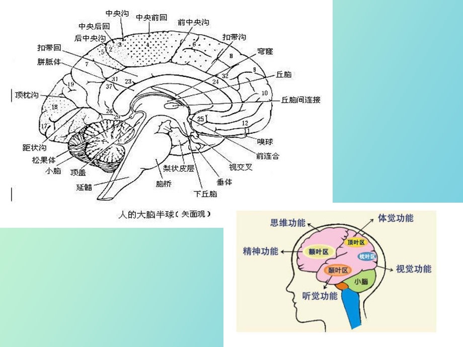 传受者心理的实质.ppt_第3页