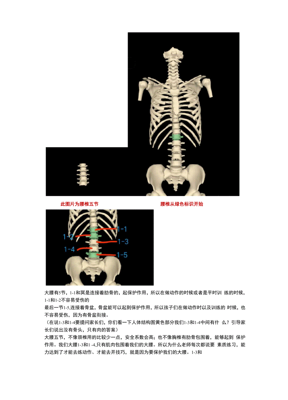 少儿舞蹈的人体结构及基本功的相关问题.docx_第3页