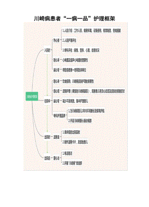 川崎病患者一病一品.docx