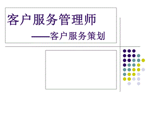 三级客户服务策划.ppt