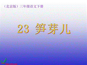 北京版三年级语文下册课件笋芽儿.ppt