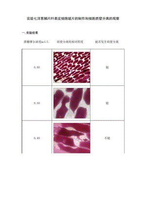 实验七 洋葱鳞片叶表皮细胞玻片的制作和细胞质壁分离的观察.docx